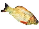 Ryba karp RUSZA SIĘ łowienie ryb USB wędka ZA3268