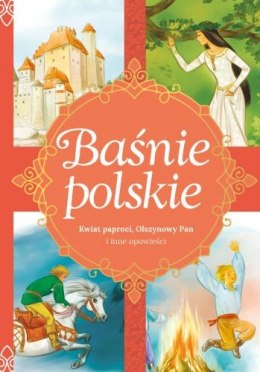 Książeczka SKRZAT Baśnie Polskie - Kwiat paproci, Olszynowy Pan i inne opowieści