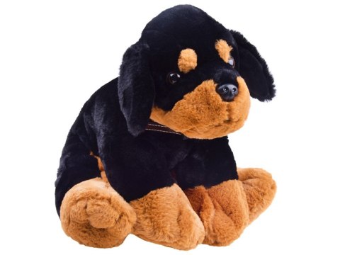 Piesek pluszowy szczeniak przytulanka 45cm ZA3032 Piesek pluszowy szczeniak przytulanka 45cm ZA3032