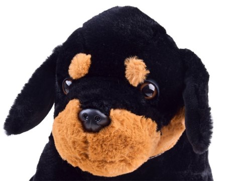 Piesek pluszowy szczeniak przytulanka 45cm ZA3032 Piesek pluszowy szczeniak przytulanka 45cm ZA3032