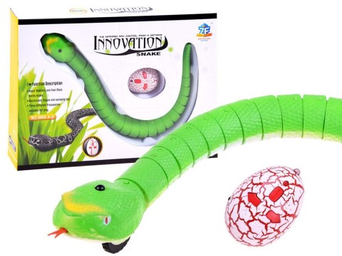 ZDALNIE STEROWANY WĄŻ NA PILOTA RC0189 ZDALNIE STEROWANY WĄŻ NA PILOTA RC0189