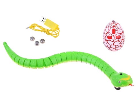 ZDALNIE STEROWANY WĄŻ NA PILOTA RC0189 ZDALNIE STEROWANY WĄŻ NA PILOTA RC0189