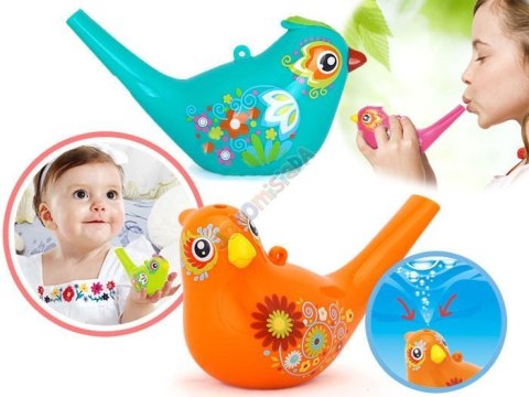 Ptaszek Gwizdek wodny Water Bird birds ZA1483