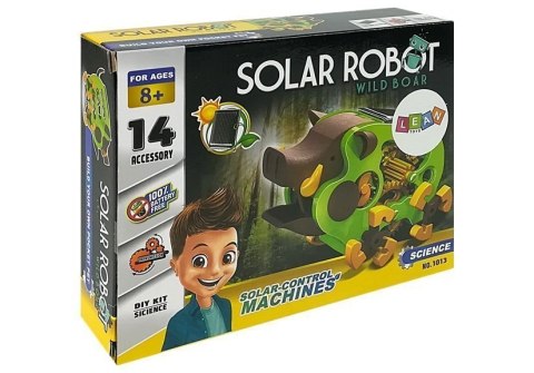 Edukacyjny Robot Do Złożenia Solarny Dzik DIY Zielony Edukacyjny Robot Do Złożenia Solarny Dzik DIY Zielony