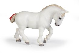 Koń Percheron biały