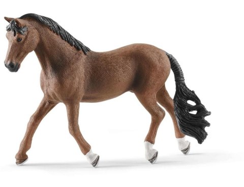 Wałach Trakehner Wałach Trakehner