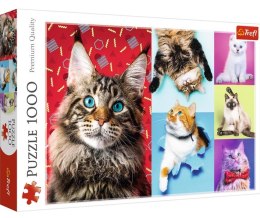 Puzzle 1000 Wesołe koty TREFL