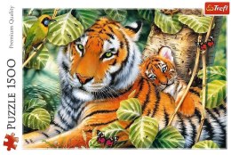 Puzzle 1500 Dwa tygrysy TREFL