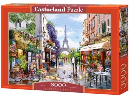 Puzzle 3000 Fowering Paris CASTOR