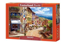 Puzzle 3000 Afternoon in Nice CASTOR