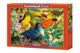 Puzzle 3000 Interlude CASTOR
