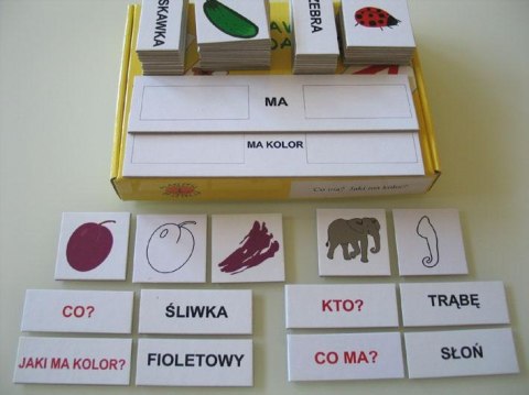 Zestaw dydaktyczny. Co ma? Jaki ma kolor? Zestaw dydaktyczny. Co ma? Jaki ma kolor?