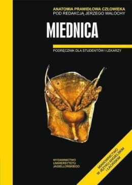 Anatomia prawidłowa człowieka. Miednica