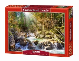 Puzzle 2000 Strumyk w lesie CASTOR