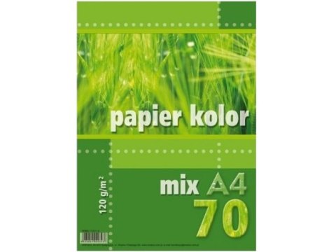 Papier ksero kolorowy A4 70k. KRESKA 120g mix Papier ksero kolorowy A4 70k. KRESKA 120g mix