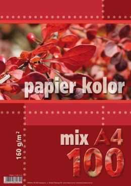 Papier ksero kolorowy A4 100k. KRESKA mix 160g