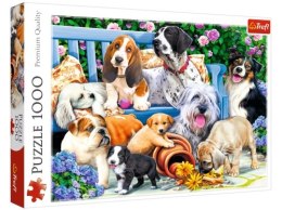 Puzzle 1000 TREFL Psy w ogrodzie