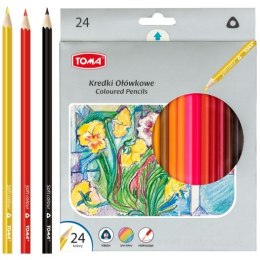 Kredki ołówkowe TOMA trójkątne 24 kolory