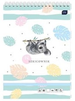 Szkicownik INTERDRUK Koala 242x340 80 kartek
