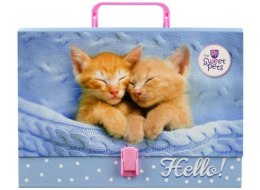 Teczka z rączką - walizeczka BENIAMIN The Sweet Pets - Kot