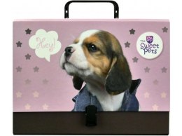 Teczka z rączką - walizeczka BENIAMIN The Sweet Pets - Pies