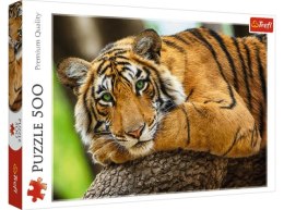 Puzzle 500 TREFL Portret tygrysa