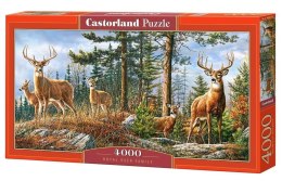 Puzzle 4000 Royal Deer Family CASTOR