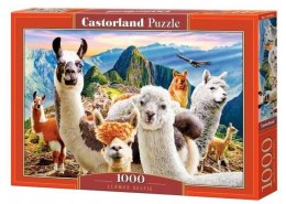 Puzzle 1000 Lamy CASTOR