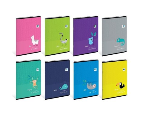 Zeszyt A5/16K linia kolor. B&B Kids Tropic (20szt) Zeszyt A5/16K linia kolor. B&B Kids Tropic (20szt)