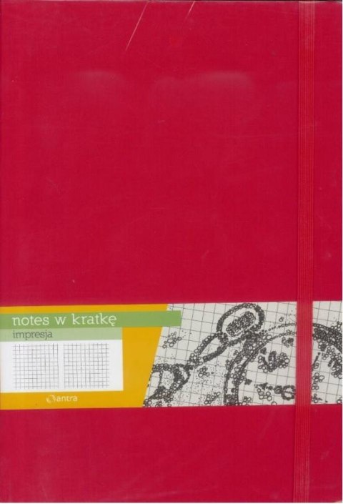 Notes B5 Kratka Impresja Czerwony ANTRA Notes B5 Kratka Impresja Czerwony ANTRA