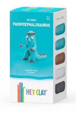 Hey Clay - Pachycefalozaur