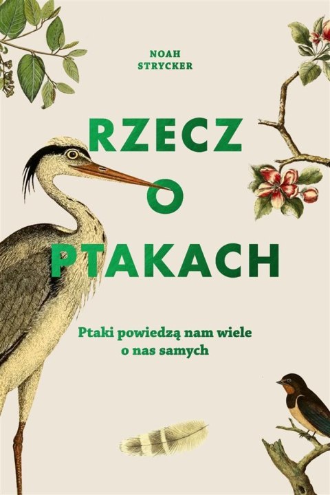 Rzecz o ptakach Rzecz o ptakach