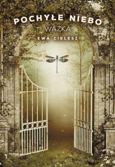 Pochyłe niebo T.3 Ważka Pochyłe niebo T.3 Ważka