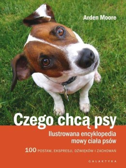 Czego chcą psy