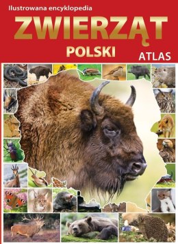 Atlas. Ilustrowana Encyklopedia Zwierząt Polski