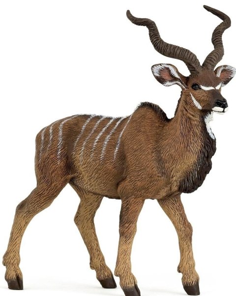 Antylopa kudu wielka Antylopa kudu wielka