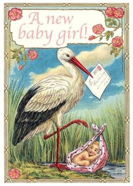 Karnet B6 z kopertą Narodziny Bocian Dziewczynka