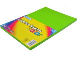 Papier ksero SCHEMAT A4 100k. 80g kolor - 19 zielony