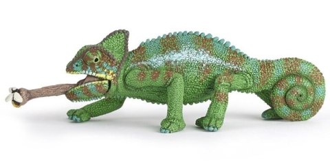 Kameleon Kameleon
