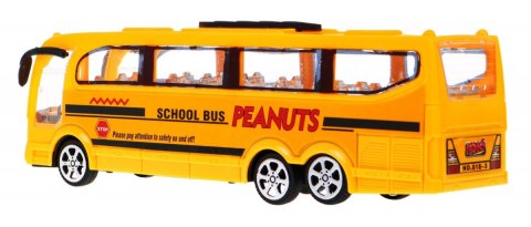Zestaw Autobusów