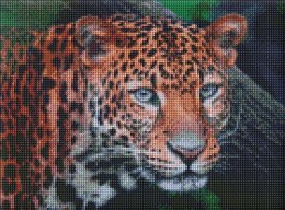 Diamentowa mozaika - Dziki wygląd 30x40cm