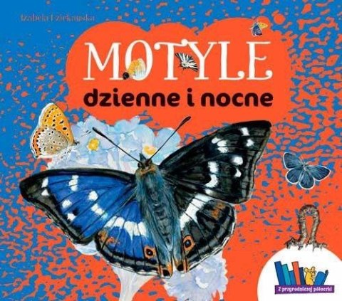 Motyle dzienne i nocne Motyle dzienne i nocne