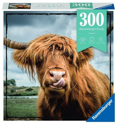 Puzzle Moment 300 Szkocka krowa Puzzle Moment 300 Szkocka krowa