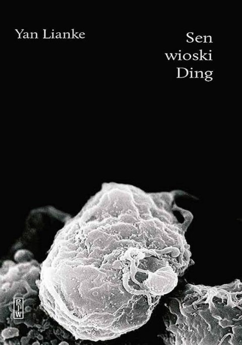 Sen wioski Ding Sen wioski Ding