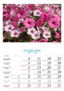 Kalendarz rodzinny BESKIDY Kr3 Kwiaty 2023