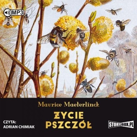 Życie pszczół audiobook Życie pszczół audiobook