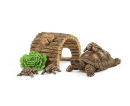 Dom dla żółwi