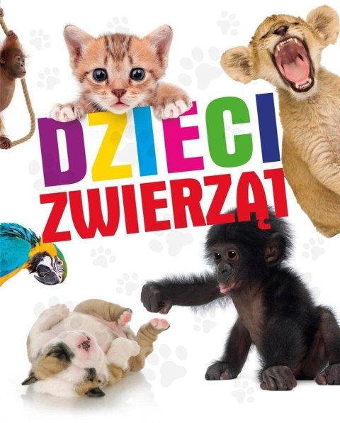 Dzieci zwierząt