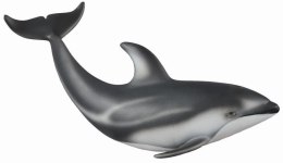 Delfin Pacyfic
