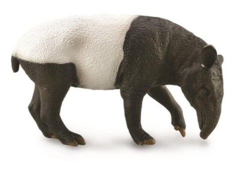 Malayan Tapir Malayan Tapir